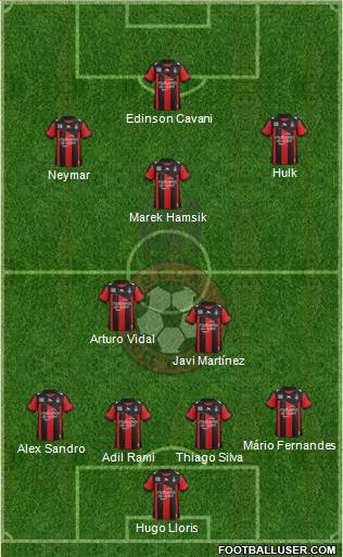 OGC Nice Côte d'Azur Formation 2013