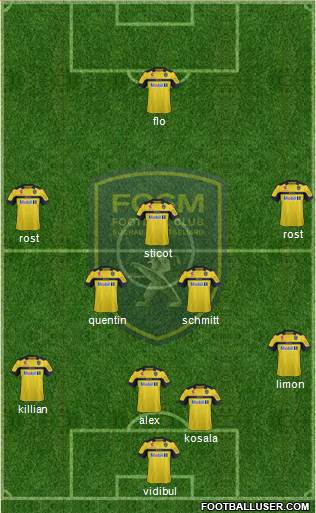 FC Sochaux-Montbéliard Formation 2013