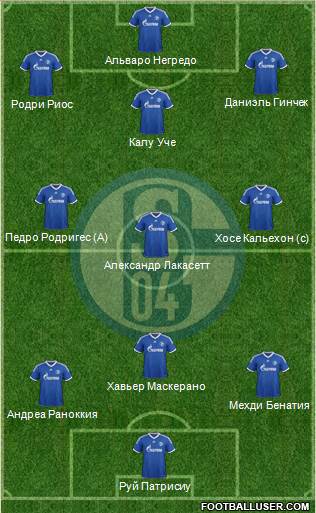 FC Schalke 04 Formation 2013