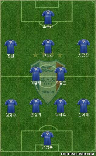 Suwon Samsung Blue Wings Formation 2013