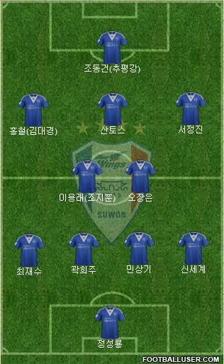 Suwon Samsung Blue Wings Formation 2013