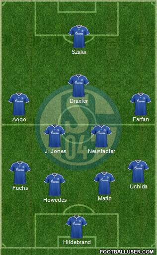 FC Schalke 04 Formation 2013