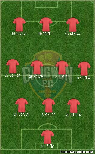 Gangwon FC Formation 2013