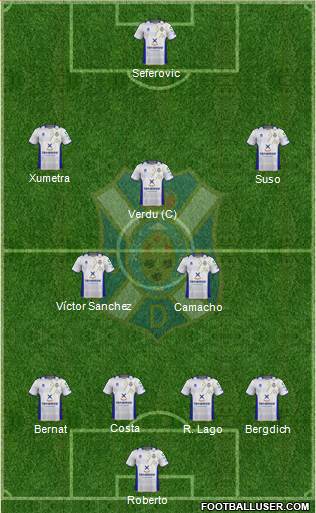 C.D. Tenerife S.A.D. Formation 2013