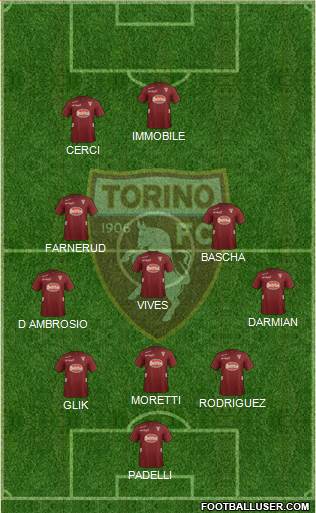 Torino Formation 2013