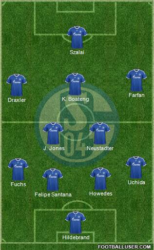 FC Schalke 04 Formation 2013