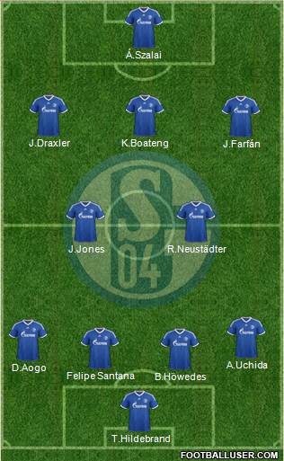 FC Schalke 04 Formation 2013