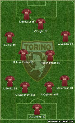 Torino Formation 2013