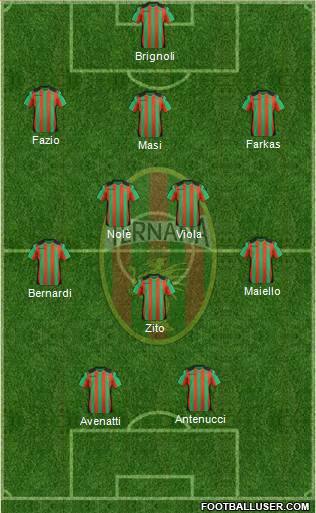 Ternana Formation 2013