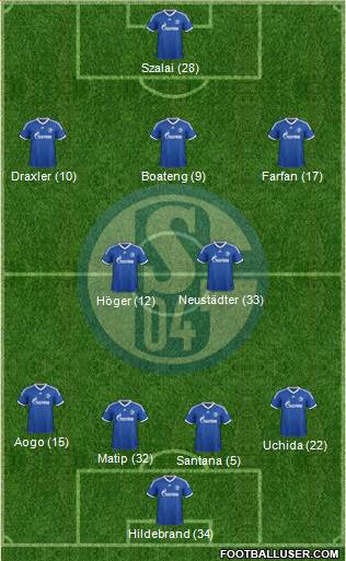 FC Schalke 04 Formation 2013