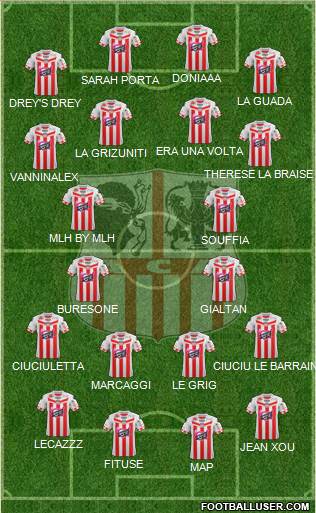 Athletic Club Ajaccien Football Formation 2013