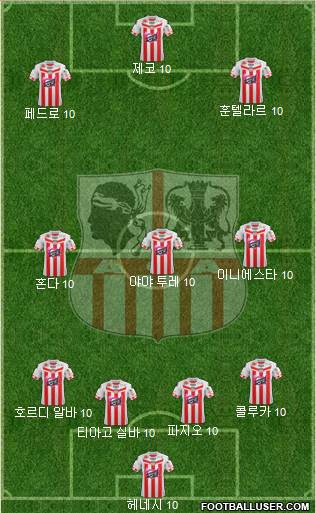 Athletic Club Ajaccien Football Formation 2013