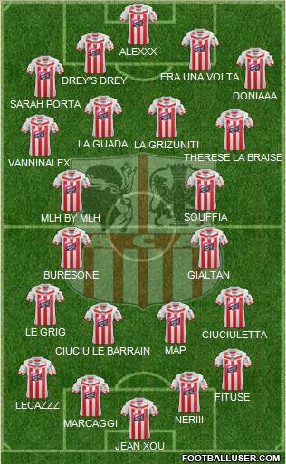 Athletic Club Ajaccien Football Formation 2013