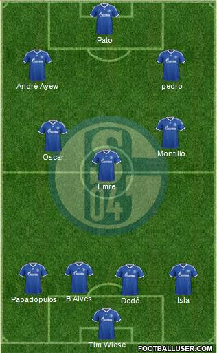 FC Schalke 04 Formation 2013