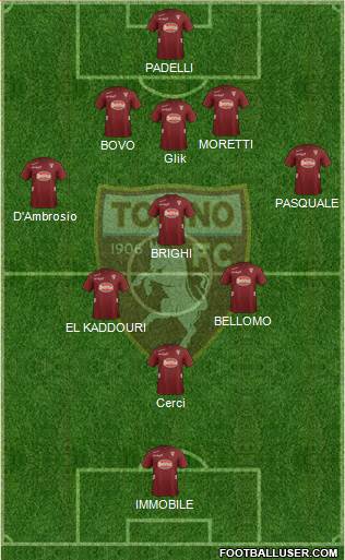 Torino Formation 2013