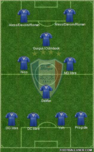 Suwon Samsung Blue Wings Formation 2013