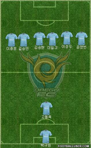 Daegu FC Formation 2013