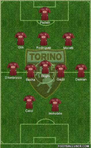 Torino Formation 2013