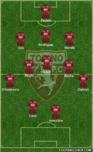 Torino Formation 2013