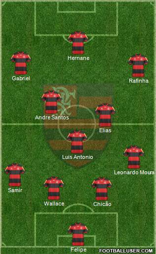 CR Flamengo Formation 2013