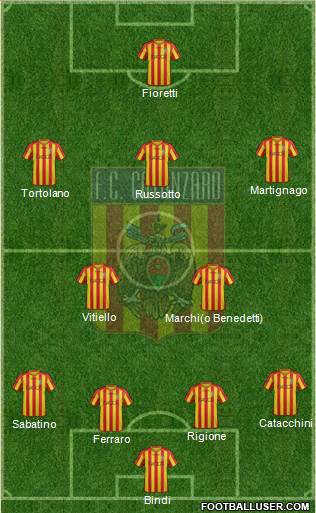 Catanzaro Formation 2013