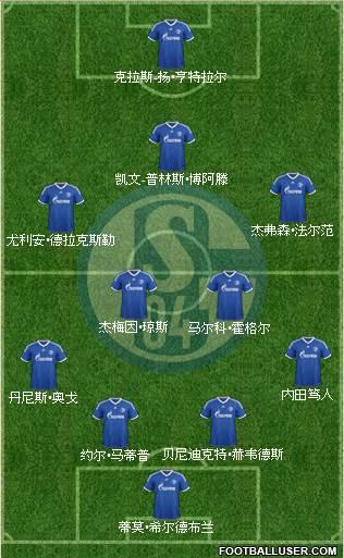 FC Schalke 04 Formation 2013