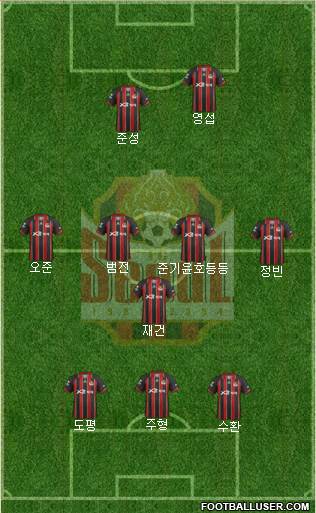 FC Seoul Formation 2013