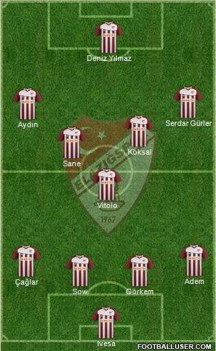 Elazigspor Formation 2013