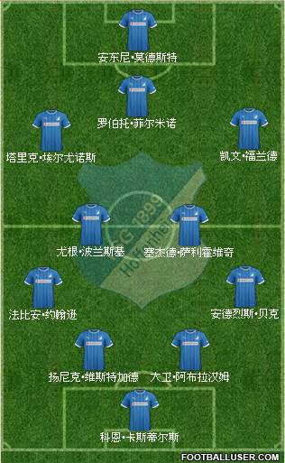 TSG 1899 Hoffenheim Formation 2013