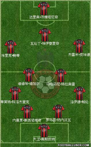 OGC Nice Côte d'Azur Formation 2013