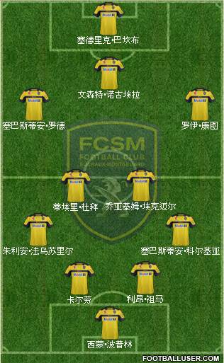 FC Sochaux-Montbéliard Formation 2013