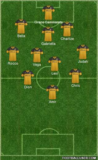 Hull City Formation 2013