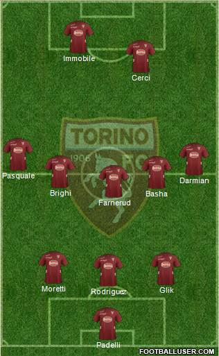 Torino Formation 2013