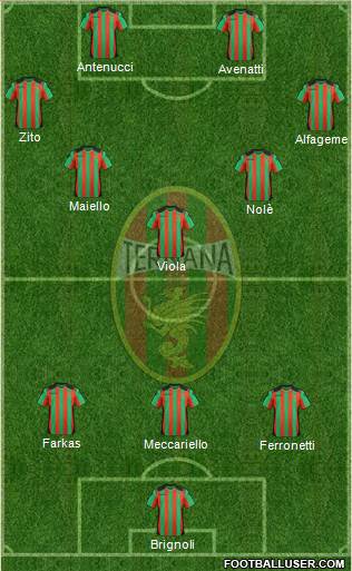 Ternana Formation 2013