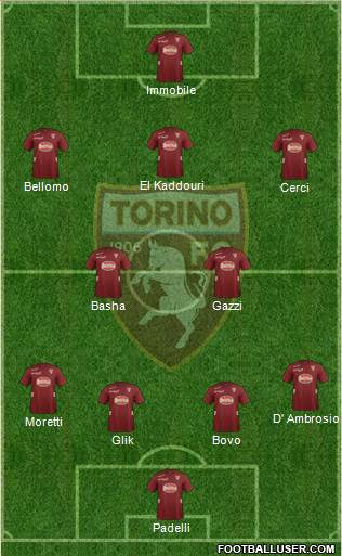 Torino Formation 2013