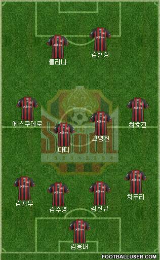 FC Seoul Formation 2013