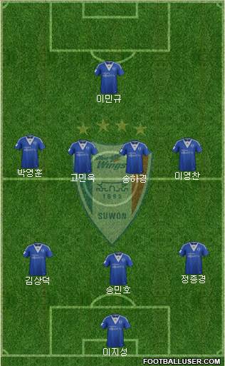 Suwon Samsung Blue Wings Formation 2013