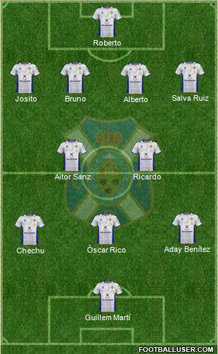 C.D. Tenerife S.A.D. Formation 2013