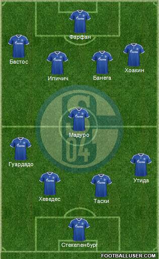 FC Schalke 04 Formation 2013