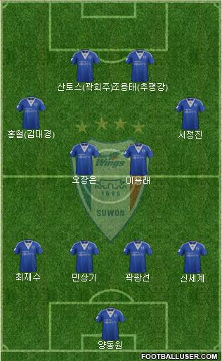 Suwon Samsung Blue Wings Formation 2013