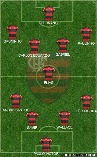 CR Flamengo Formation 2013