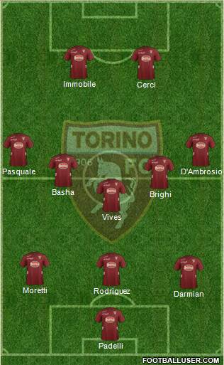 Torino Formation 2013