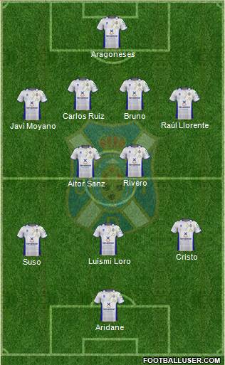 C.D. Tenerife S.A.D. Formation 2013