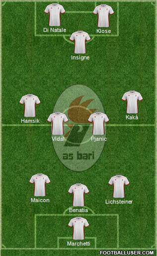 Bari Formation 2013