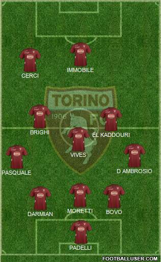 Torino Formation 2013