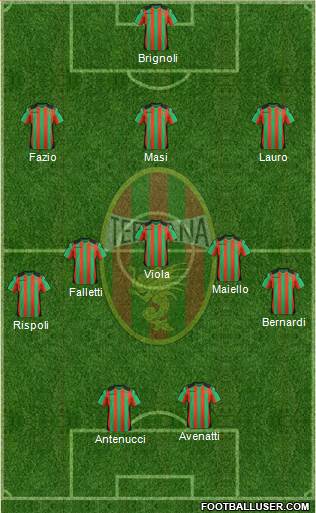 Ternana Formation 2013