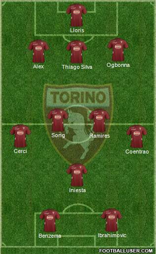 Torino Formation 2013