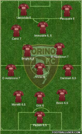 Torino Formation 2013