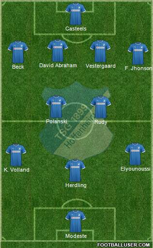 TSG 1899 Hoffenheim Formation 2013