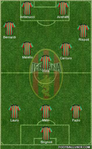 Ternana Formation 2013